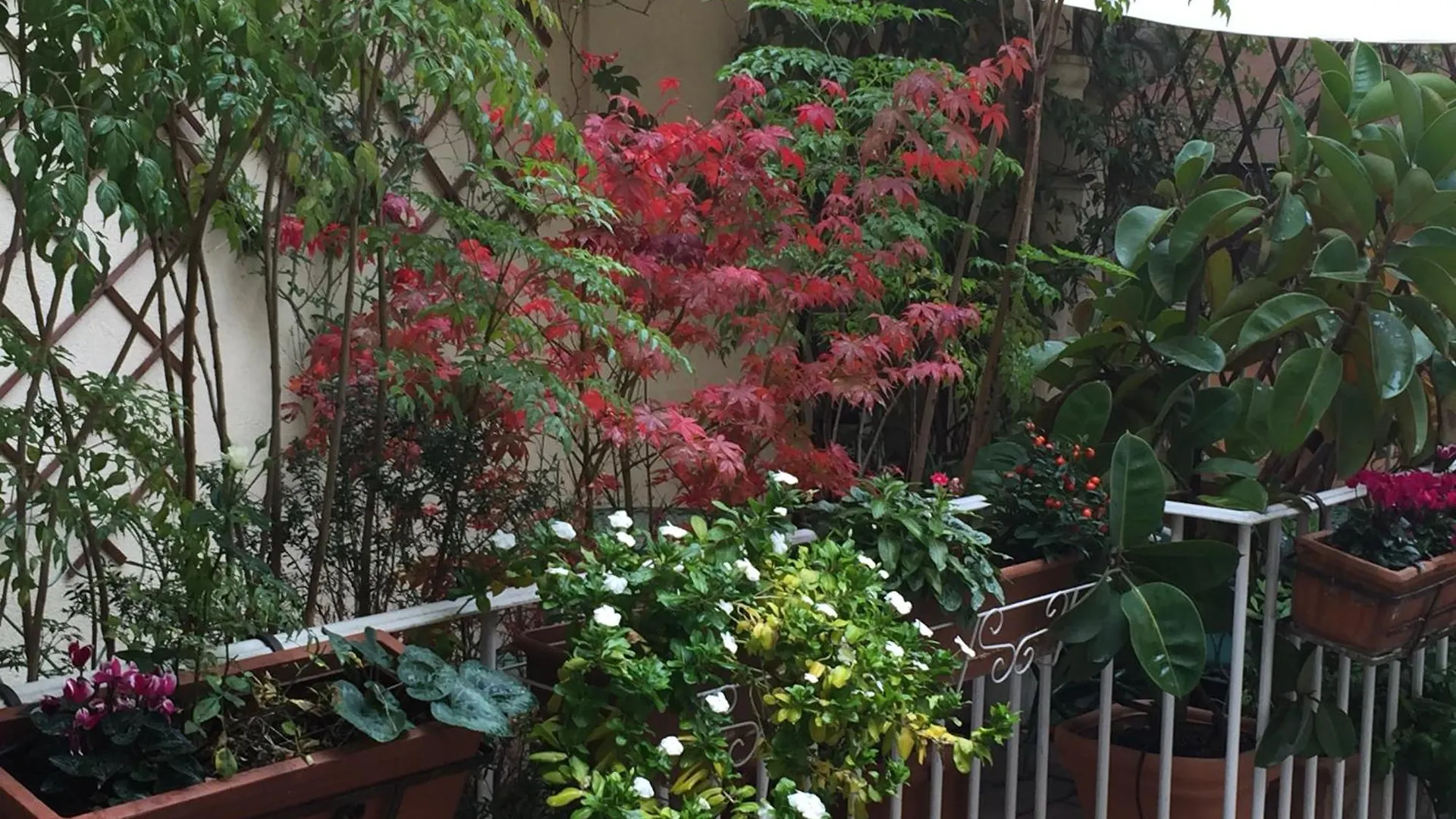 Relais Teatro Argentina Bed & Breakfast Rome