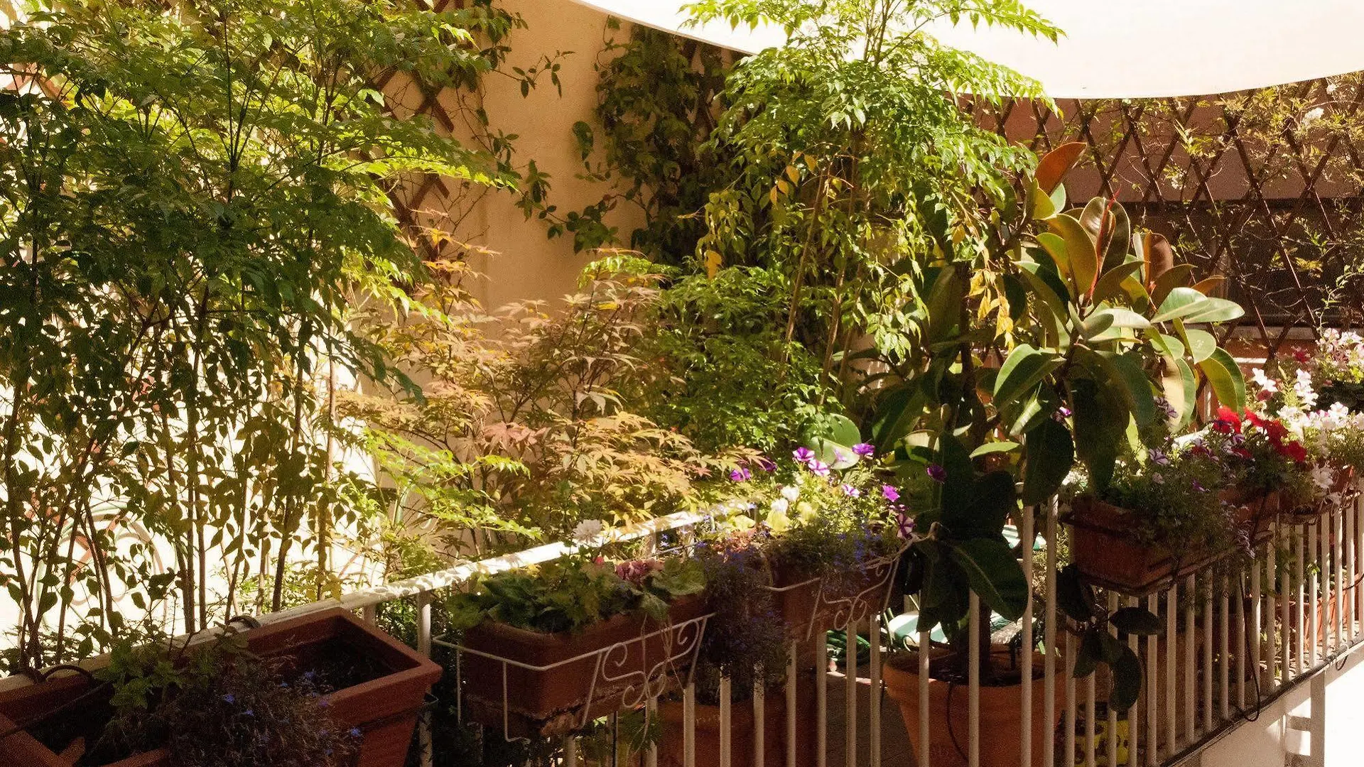 Relais Teatro Argentina Bed & Breakfast Rome